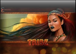 Tribe